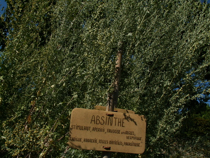 20060807 185943